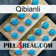 Qibianli new08